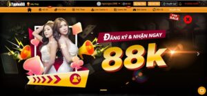 typhu88-anh-dai-dien